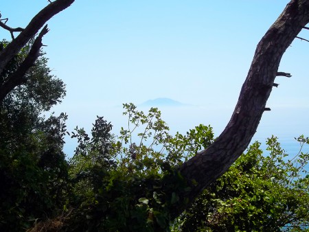 "Africa" ©2011 Jimmie Olsson